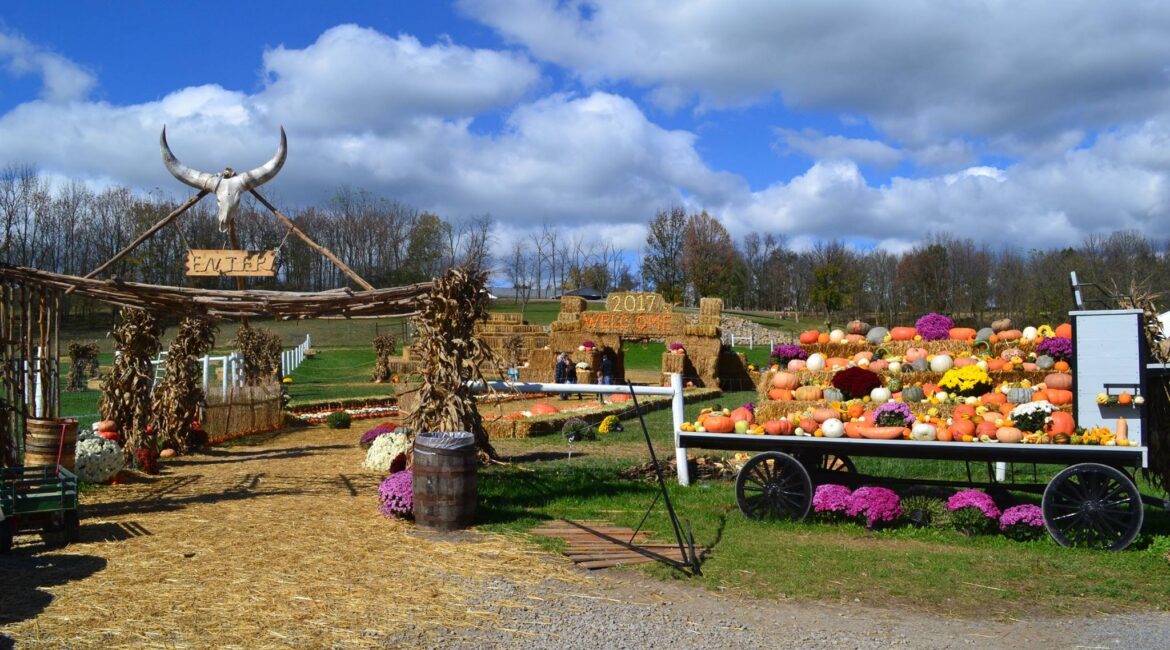 Fall Festival at The Farm at Walnut Creek