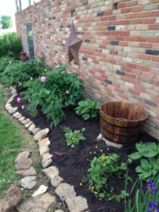 Amish Country Perennials