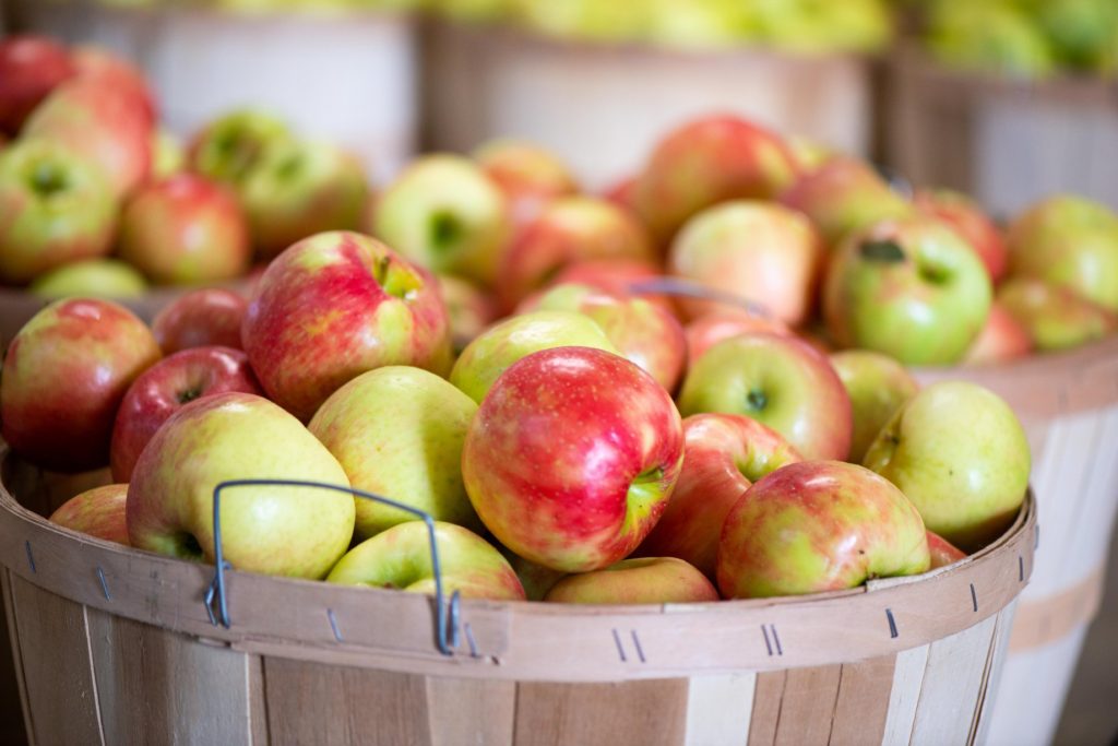 Honey Crisp Apples - Basket of 6 - Walnut Creek Farm