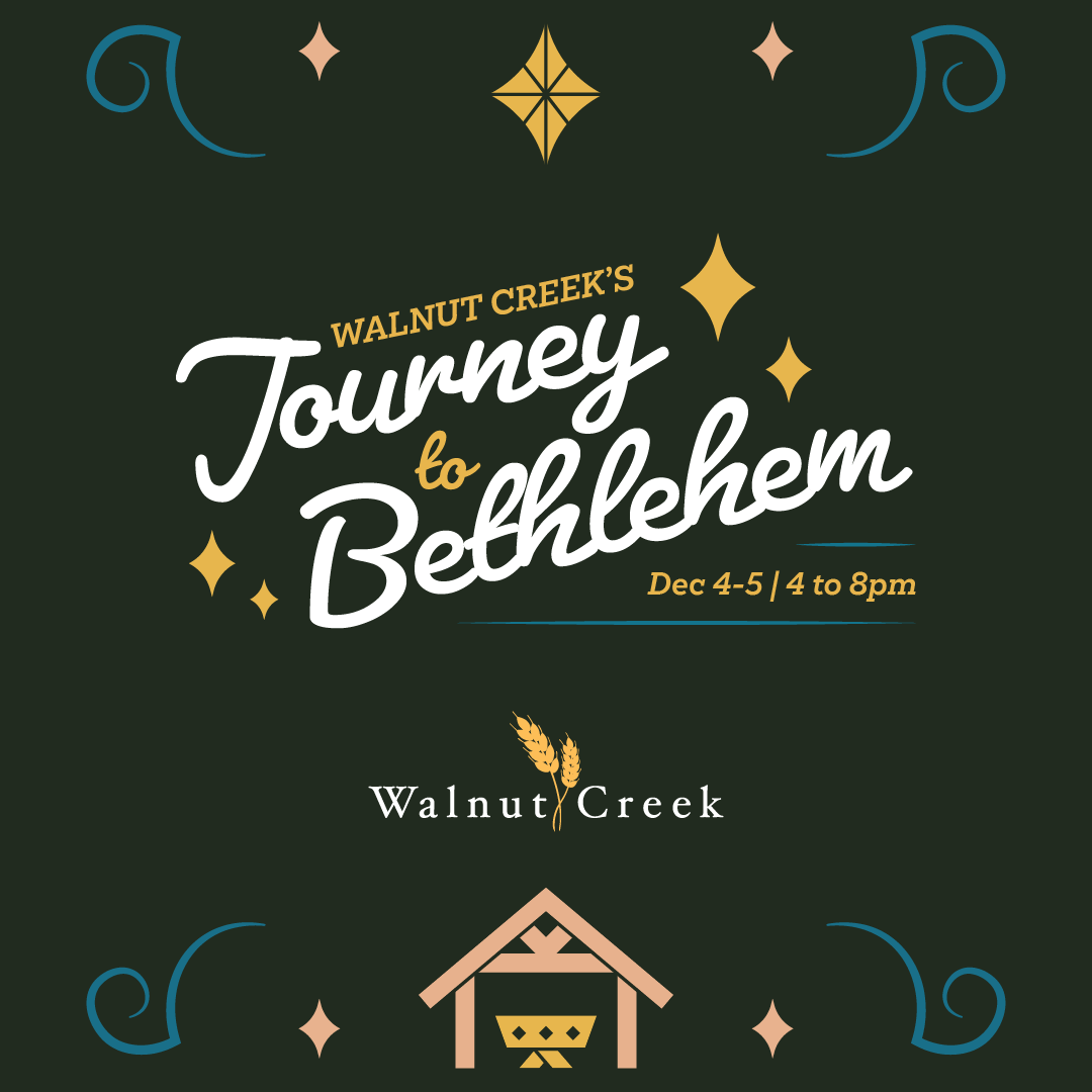 1Journey to Bethlehem